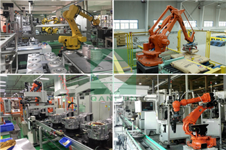 Robot assembly